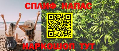 гашик Гагарин