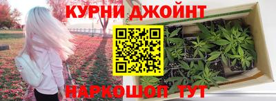 гашик Гагарин