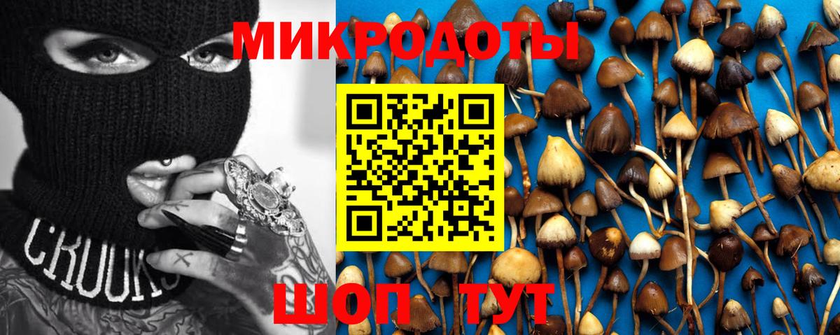 Псилоцибиновые грибы Magic Shrooms  Вход с VPN  Назрань 